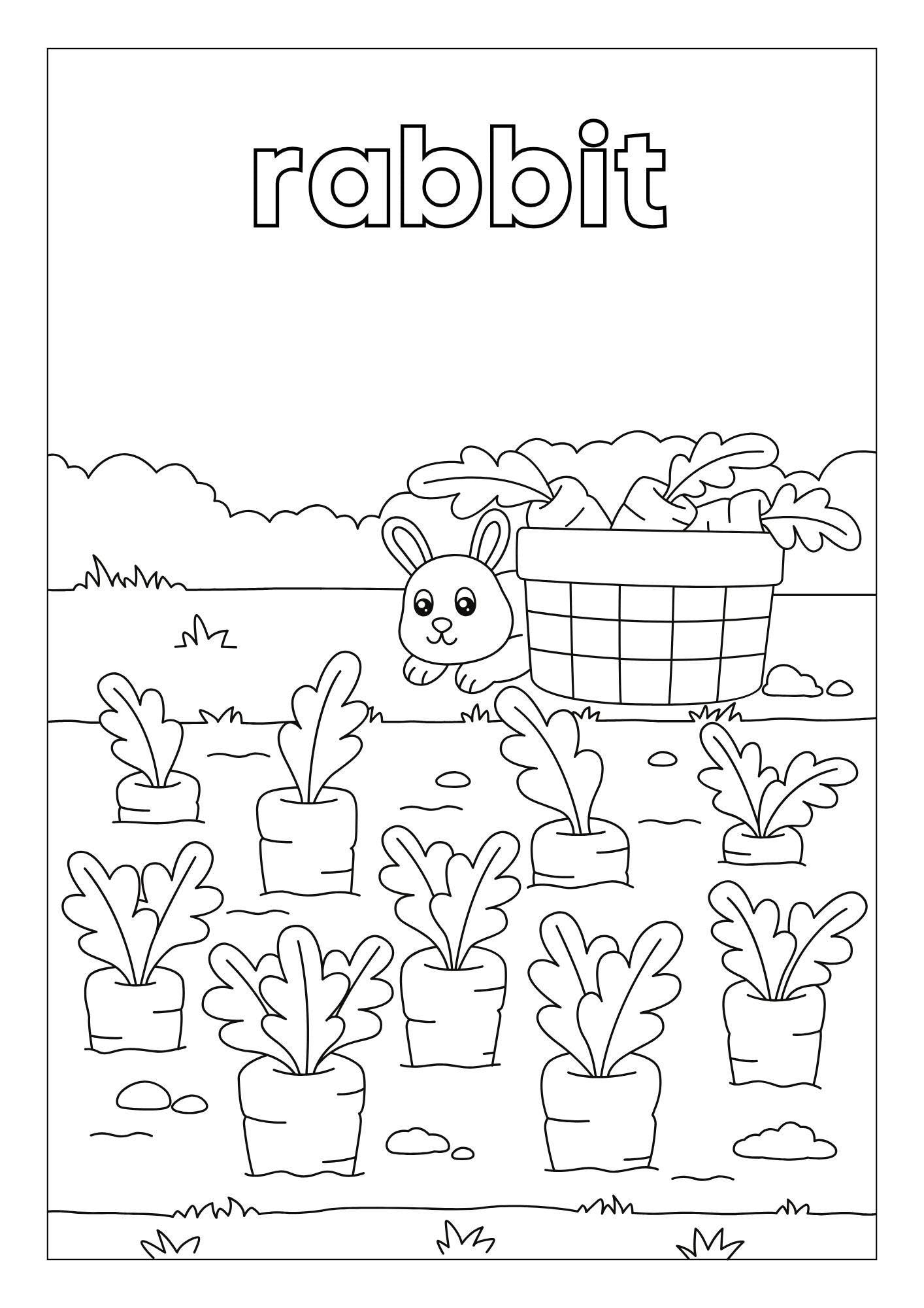 Animal Habitats Coloring Book in Grayscale Illustrative Style