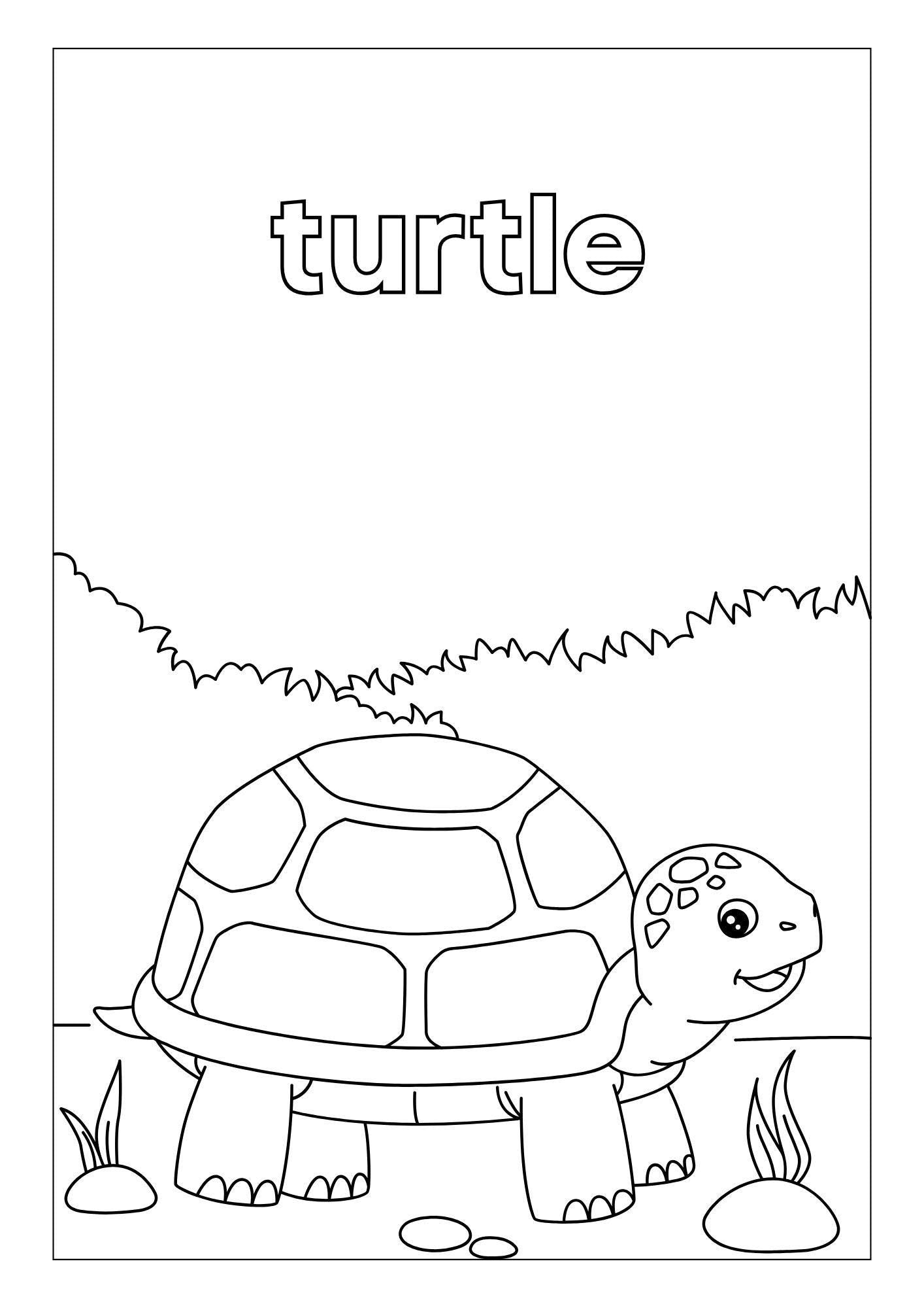 Animal Habitats Coloring Book in Grayscale Illustrative Style